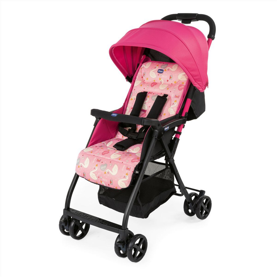 Pink Swan [+119,00 €]