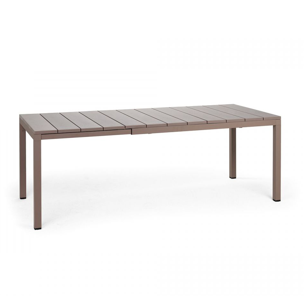 Tortora