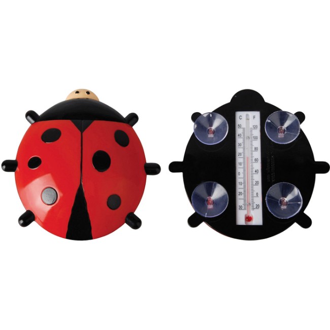 Immagine di Termometro Coccinella 