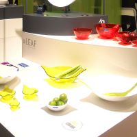 Immagine di Insalatiera Leaf L Bianco/Rame 