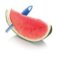Immagine di Coltello Melone Presto 