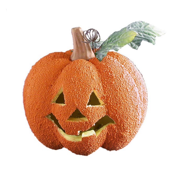 Immagine di Zucca Rugosa con Luce Ø18cm 
