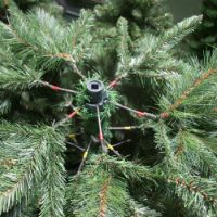 Immagine di Albero di Natale Grand Canyon 120 cm 