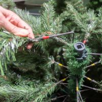 Immagine di Albero di Natale Grand Canyon 120 cm 