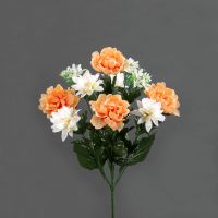 Immagine di Peony Pineapple Bush 62 cm. 