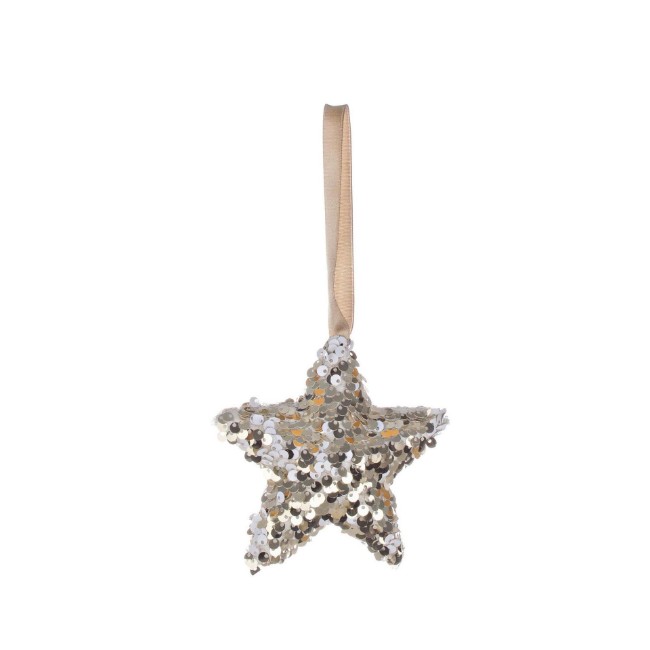 Immagine di Pendaglio Brilly Stella 10x3,5cm