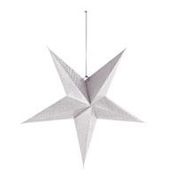 Immagine di Stella Algedi Argento 56mm