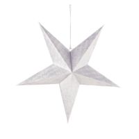 Immagine di Stella Gomeisa Argento 72mm