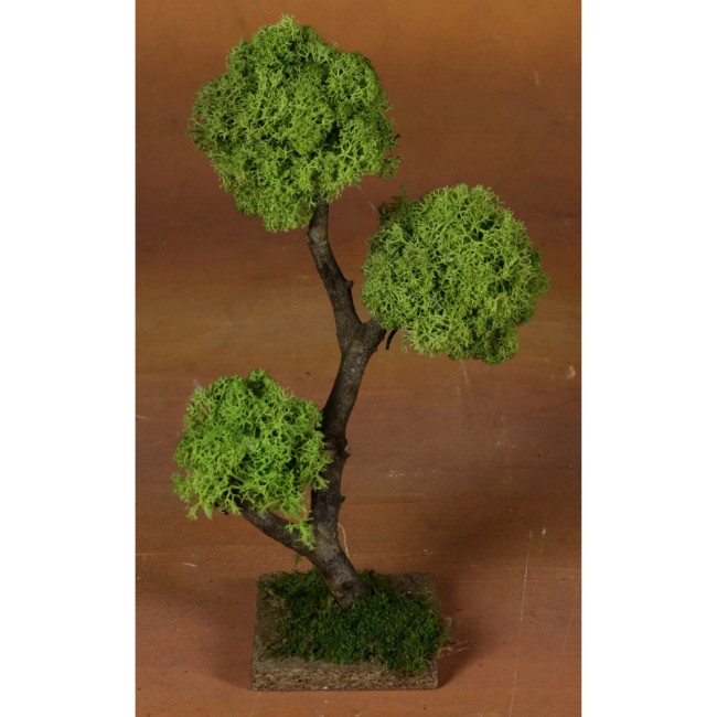 Immagine di Albero Legno con Lichene 27cm 