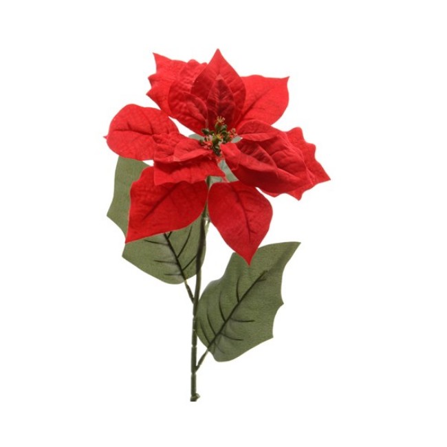 Immagine di Stella di Natale 67cm Rossa