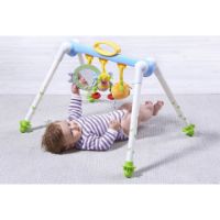 Immagine di Take-To-Play Baby Gym 