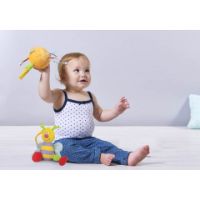 Immagine di Take-To-Play Baby Gym 