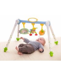 Immagine di Take-To-Play Baby Gym 