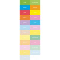 Immagine di Copy Tinta Forte/Tenue A4 Unicolor 80 Scegli il tuo colore preferito! 