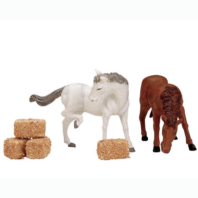 Immagine di Feed For The Horses - 12511