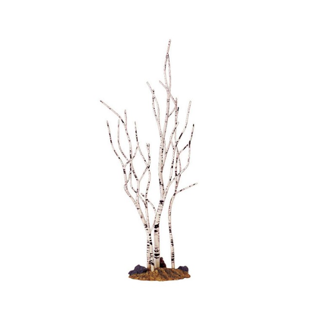 Immagine di La Betulla 34967 - Altezza 23 cm