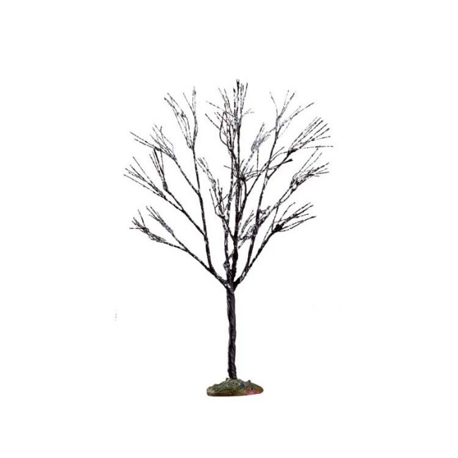 Immagine di Butternut Tree 19cm - 64097