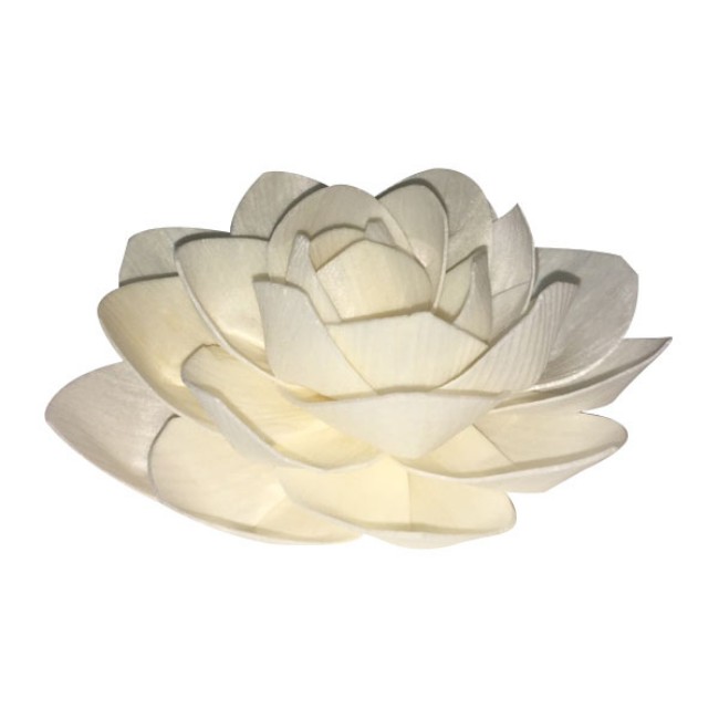 Immagine di Ricambio per Diffusore Fiore Naturale Piccolo 