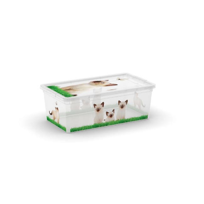 Immagine di Contenitore Box Style XS Puppy and Kitten 