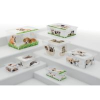 Immagine di Contenitore Box Style XS Puppy and Kitten 