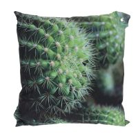Immagine di Cuscino Cactus con Zip 45x45cm