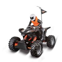Immagine di Rock Crawler ATV 