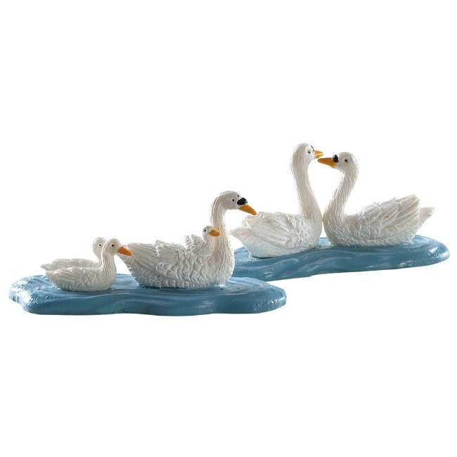 Immagine di Swans - 82613