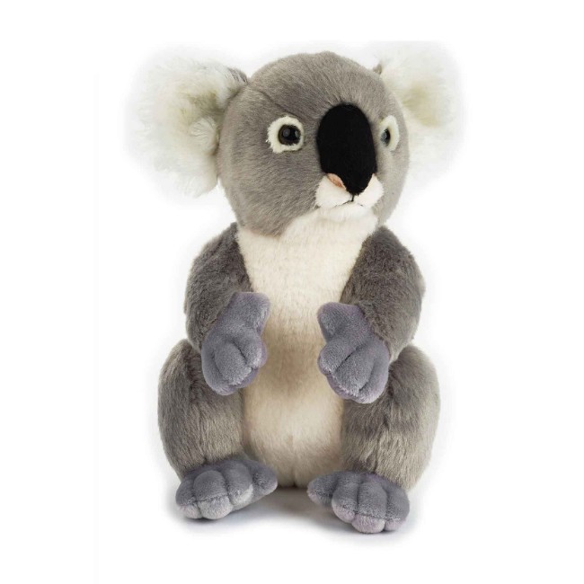 Paniate The National Geographic Koala 23cm Venturelli in offerta