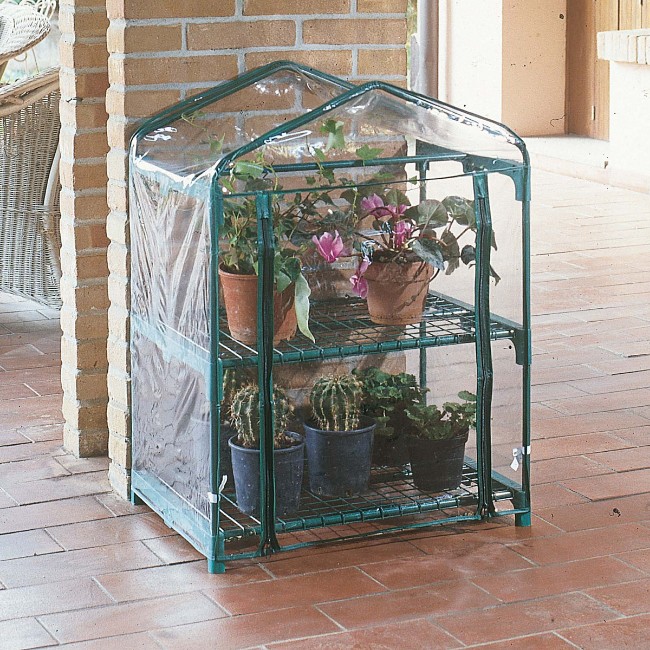 Immagine di Serra Azalea a 2 Ripiani 