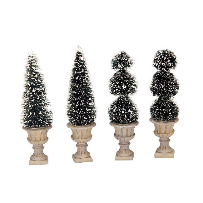 Immagine di Cone-Shaped & Sculpted Topiaries - 34965