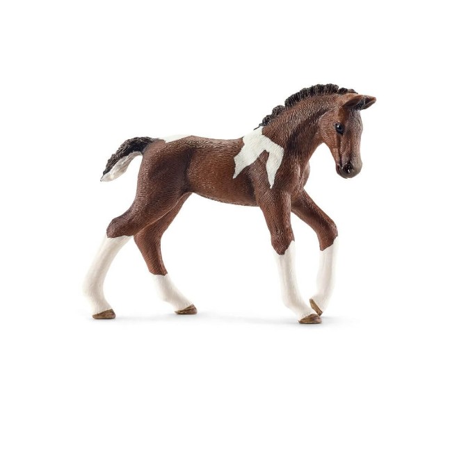 Immagine di Puledro Trakehner 13758 
