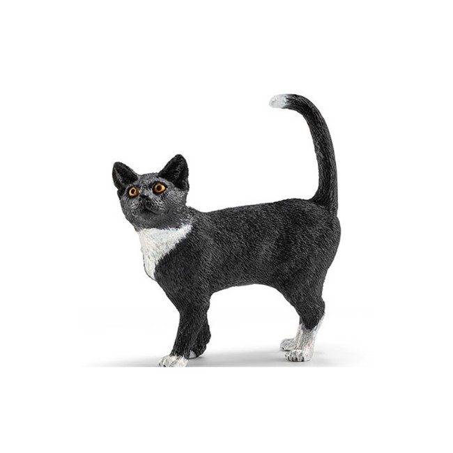Immagine di Gatto In Piedi 13770 