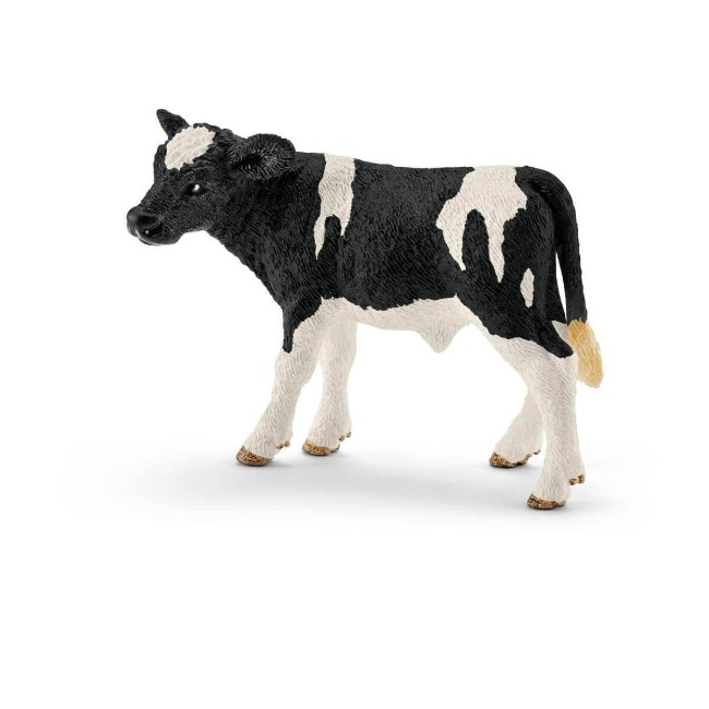 Immagine di Vitello Holstein 13798 