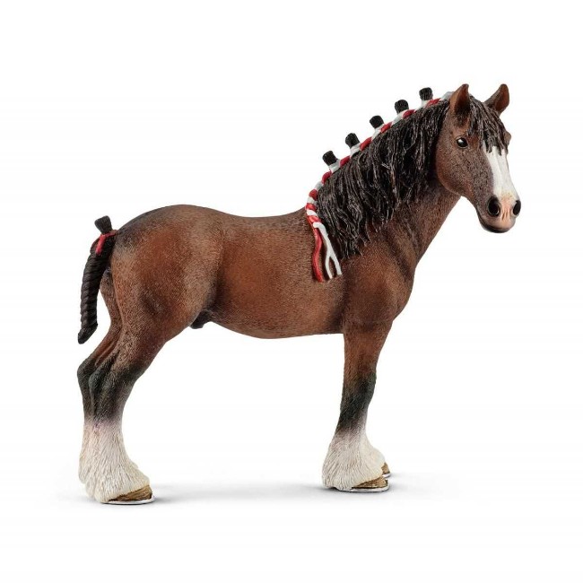 Immagine di Castrone Clydesdale 13808 