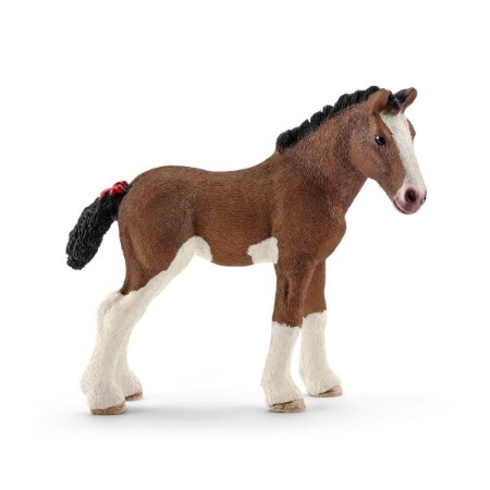 Immagine di Puledro Clydesdale 13810 