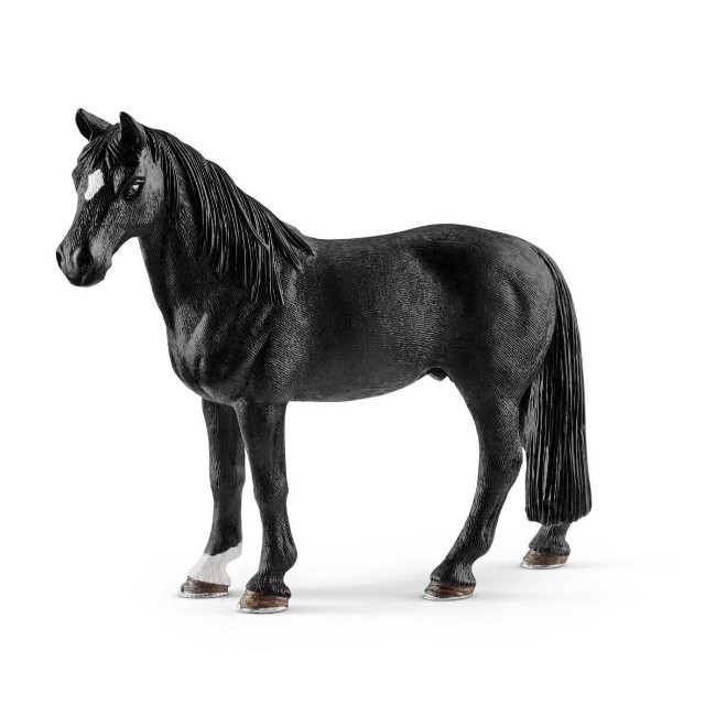 Immagine di Castrone Tennessee Walker 13832 
