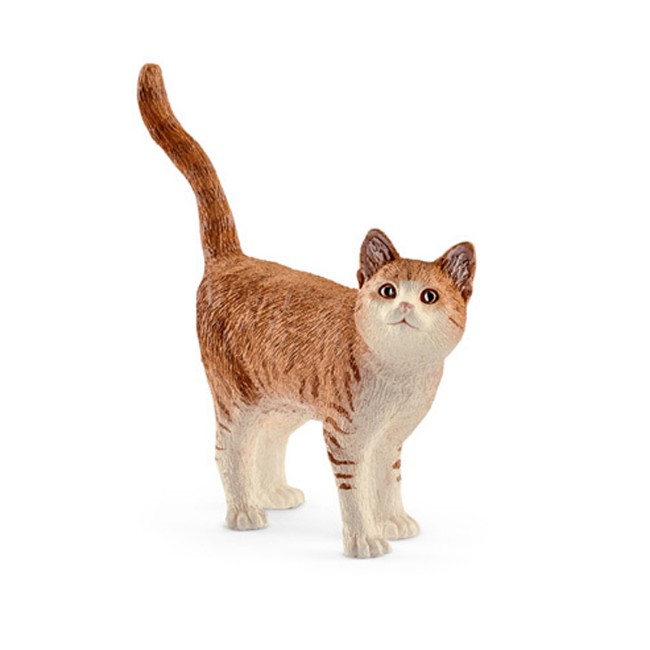 Immagine di Gatto 13836 