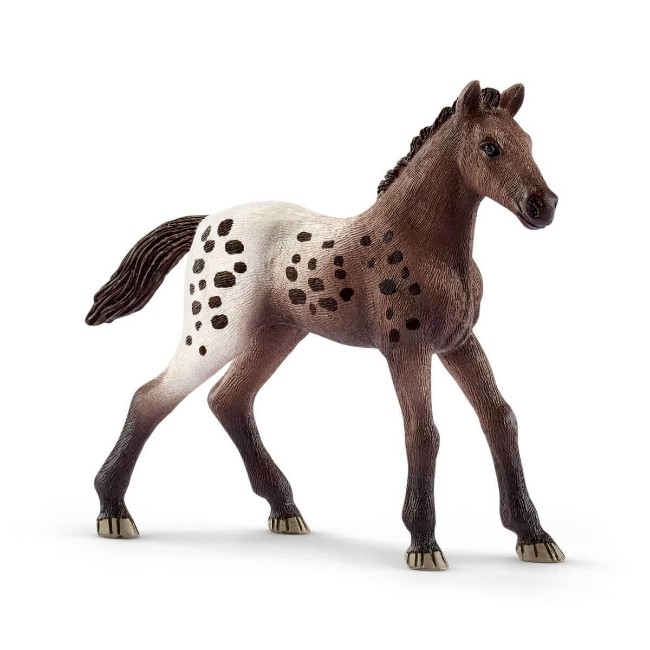 Immagine di Puledro Appaloosa 13862 