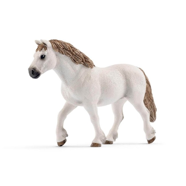 Immagine di Giumenta Pony Welsh 13872 