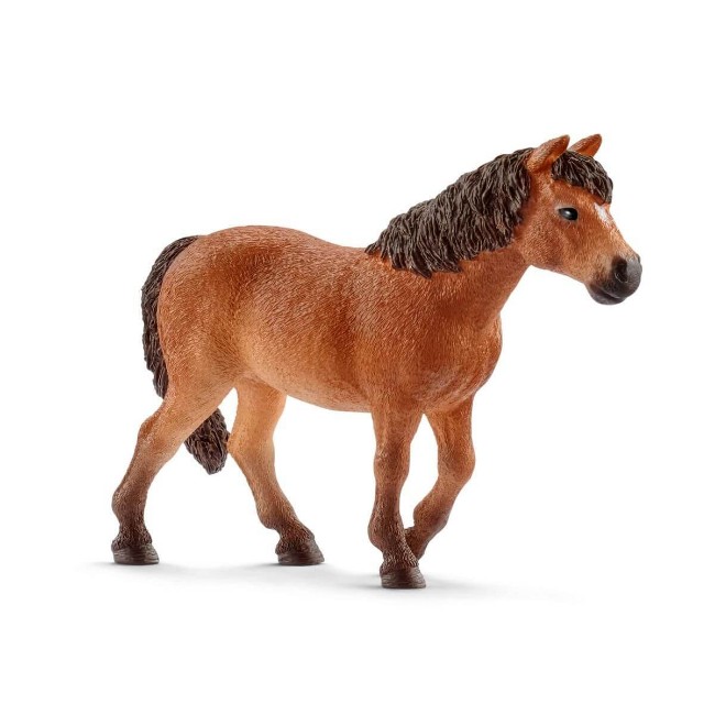 Immagine di Giumenta Dartmoor Pony 13873 