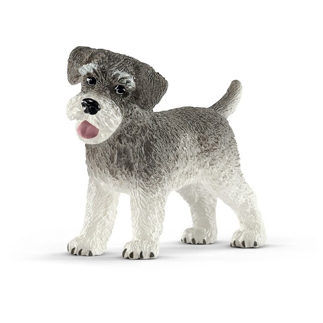 Immagine di Schnauzer Nano 13892 