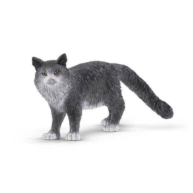 Immagine di Gatto Maine-Coon 13893 
