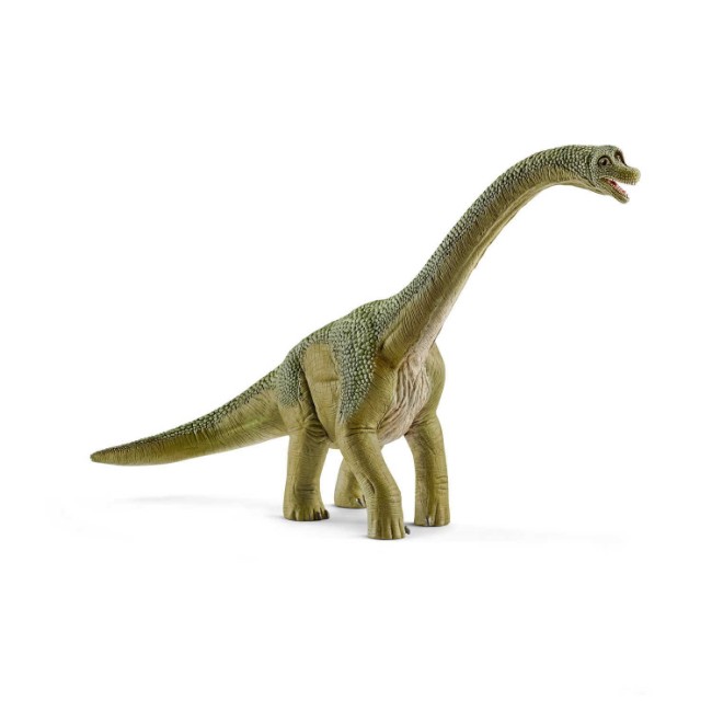 Immagine di Brachiosauro 14581 