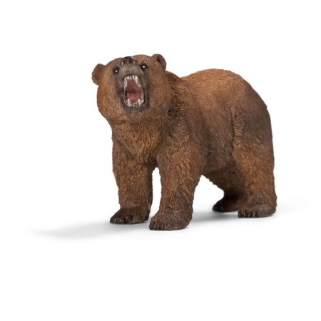Immagine di Orso Grizzly 14685 
