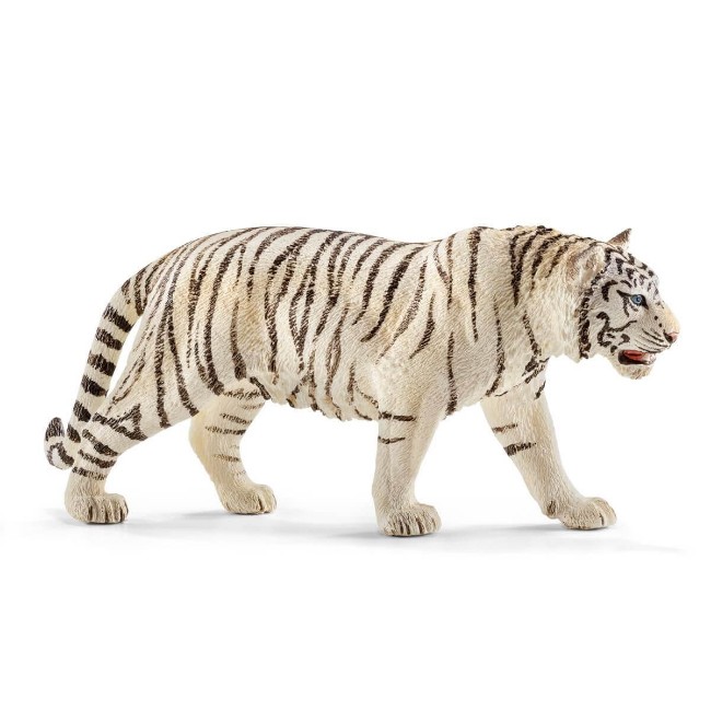 Immagine di Tigre Bianca 14731 