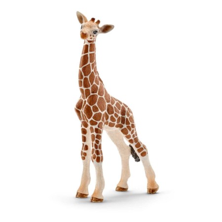Immagine di Cucciolo di Giraffa 14751 