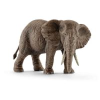 Immagine di Femmina di Elefante Africano 14761 