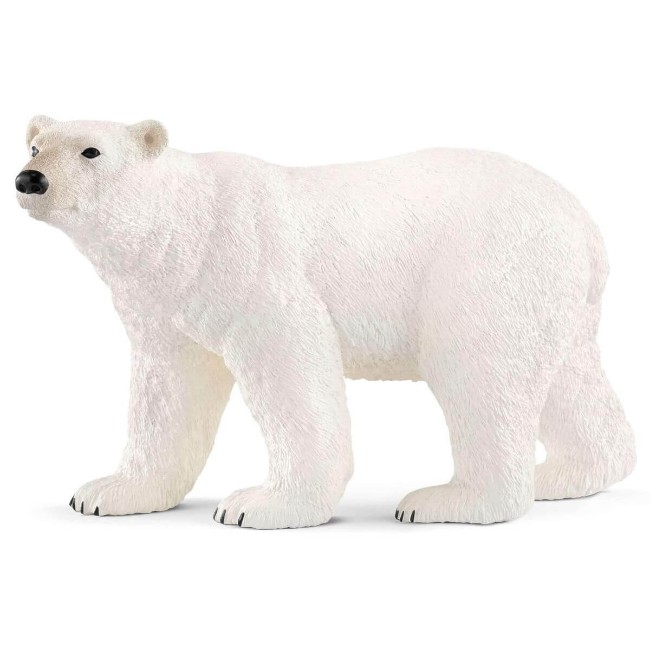 Immagine di Orso Polare 14800 