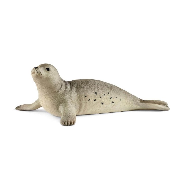 Immagine di Foca 14801 