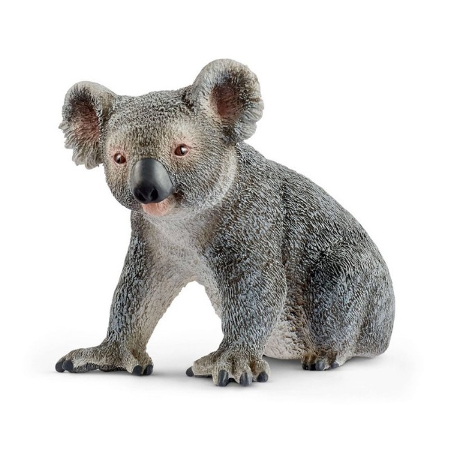 Immagine di Koala 14815 